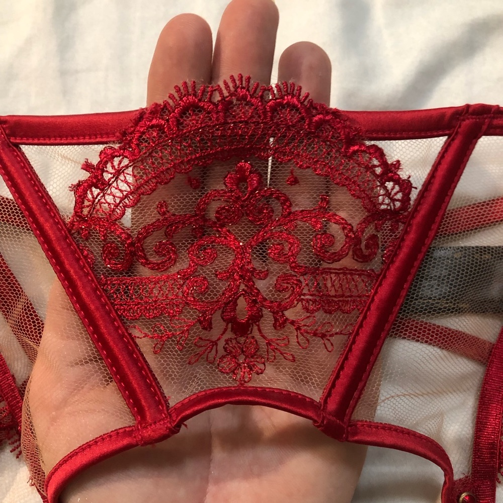 Honey Birdette Bra and Suspender - Picture 5 of 6